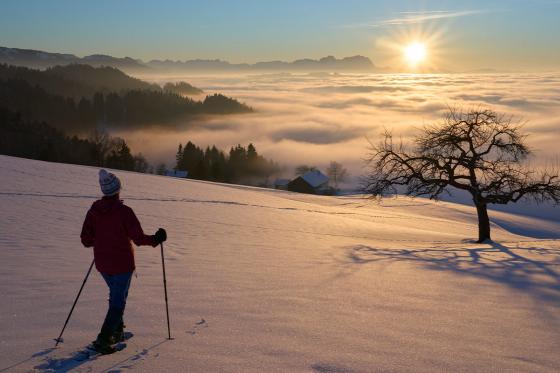 Schneeschuhwanderung & Fondue - Für 1 Person 5 