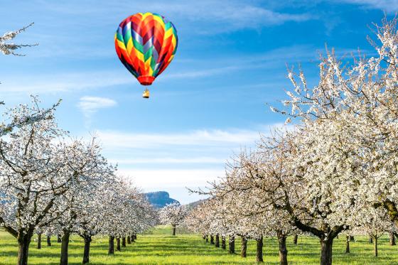 Basel Ballonfahrt in grosser Höhe  - 2h Fahrt in der Region Basel für 1 Person  