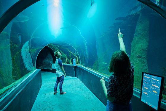 AQUATIS für 1 Erwachsenen - Aquarium-Vivarium in Lausanne 2 