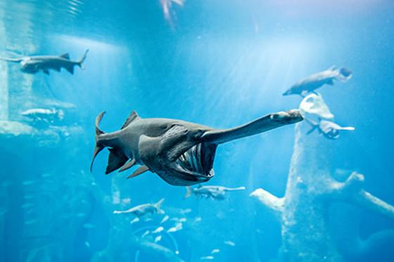 AQUATIS für 1 Erwachsenen - Aquarium-Vivarium in Lausanne 5 