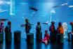 AQUATIS für 1 Kind - Aquarium-Vivarium in Lausanne | Kind von 5 bis 15 