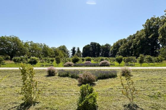 Spa marocain dans un château  - pour 2 personnes 5 
