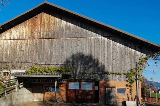 Schlafen im Stall - Übernachtung im Hängebett neben Tieren für 2 Personen  