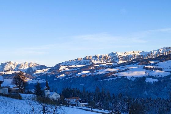 Schlafen im Stall - Übernachtung im Hängebett neben Tieren für 2 Personen 2 