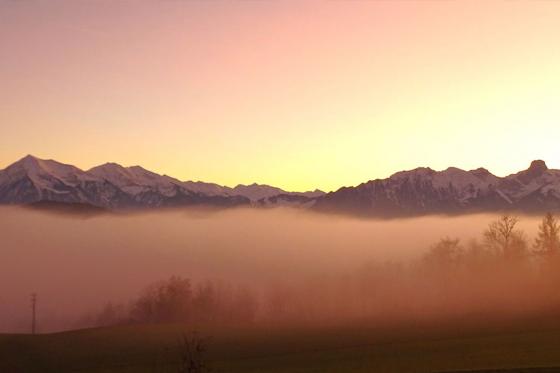 Schlafen im Stall - Übernachtung im Hängebett neben Tieren für 2 Personen 3 