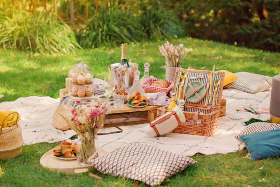 Picknick im Park - am Zürichsee für 2 Personen 1 