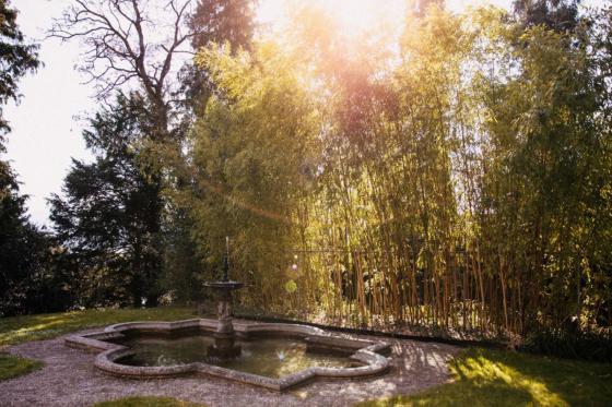 Picknick im Park - am Zürichsee für 2 Personen 3 