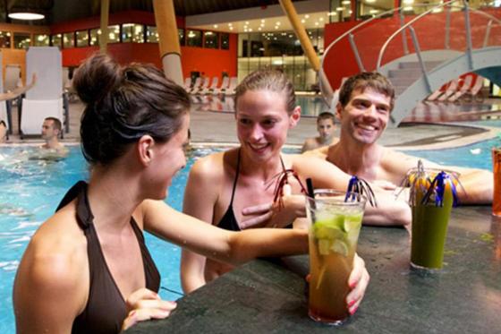 Nuit dans un 4* à Bâle - Entrée à aquabasilea pour la journée et un menu à 3 plats inclus, pour 2 6 