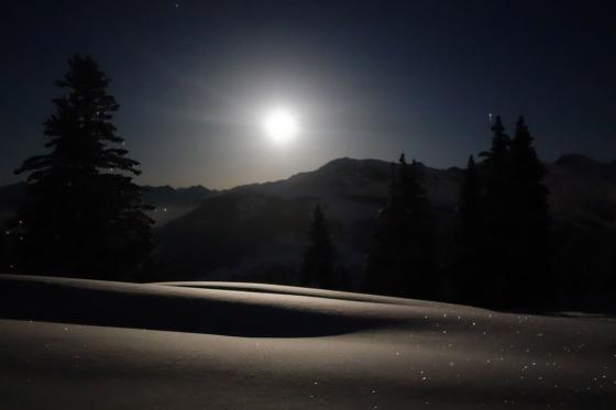 Wintererlebnis in Brambrüesch - mit Abendschlitteln & Fondueplausch für 2 Erwachsene 5 