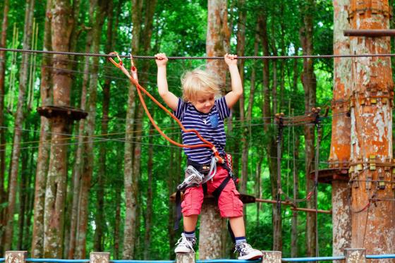 Parc Aventure en Famille - Entrées pour 2 adultes et 2 enfants 3 