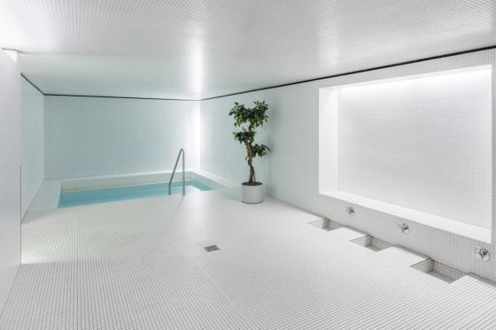 Day Spa & menu 3 plats à Bienne - 2 entrées au spa et menu 3 plats pour 2 personnes 5 