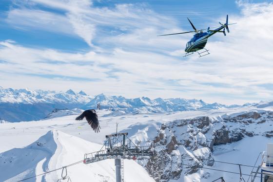 Héli-fondue à Glacier 3000 - Vol de 18 min. en hélicoptère de Leysin et fondue pour 2 personnes 1 