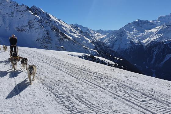 Chiens de traineau  - Avec husky pour 2 personnes  
