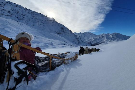 Chiens de traineau  - Avec husky pour 2 personnes 5 