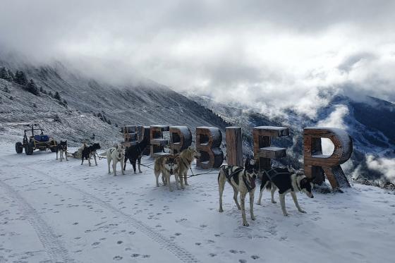 Chiens de traineau  - Avec husky pour 2 personnes 7 