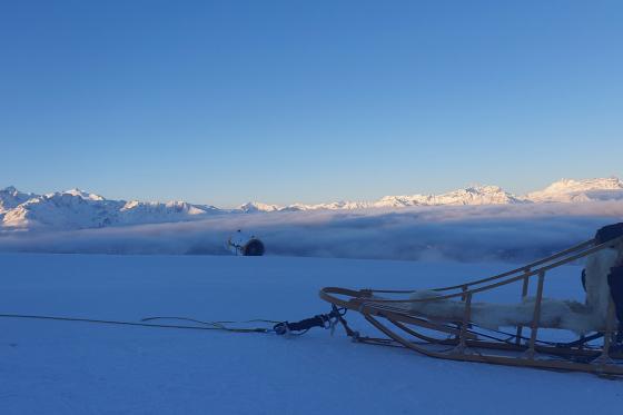 Chiens de traineau  - Avec husky pour 2 personnes 9 