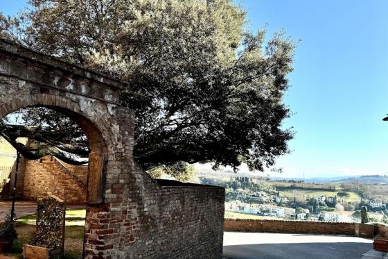 Ferien in Toskana - 6 Tage in Certaldo für 2 Personen 8 