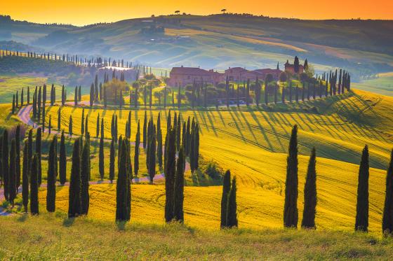 2 Nächte Toskana  - mit Wein- und Olivenölverkostung für 2  