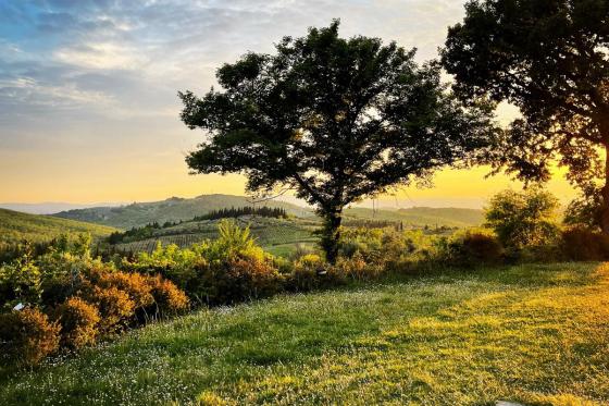 2 Nächte Toskana  - mit Wein- und Olivenölverkostung für 2 5 