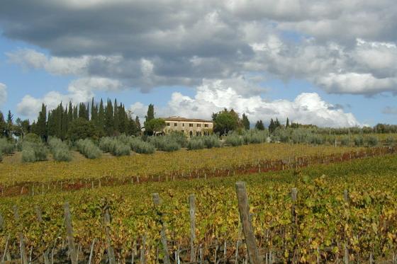 2 Nächte Toskana  - mit Wein- und Olivenölverkostung für 2 8 
