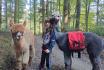 Alpaca und Lamaspaziergang - mit Zvieri in Meikirch für 2 Personen 5