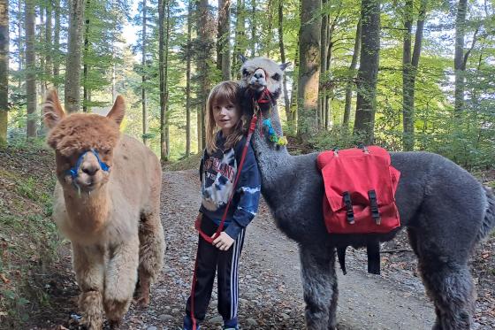Alpaca und Lamaspaziergang - mit Zvieri in Meikirch für 2 Personen 5 