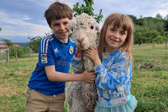 Alpaca und Lamaspaziergang - mit Zvieri in Meikirch für 2 Personen 8 