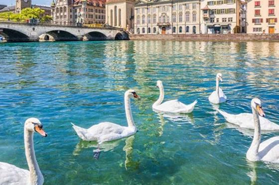 Stadtführung Zürich - für 4 - 6 Personen 2 