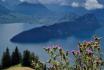Biertasting  - Picknick auf der Seebodenalp für 2 Personen 2