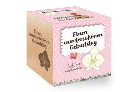 Ecocube Geburtstag - Orchideenbaum  
