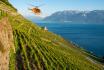 Héli-fondue sur le Lavaux - Vol de 25 min. en hélicoptère de Leysin et fondue pour 2 personnes 3