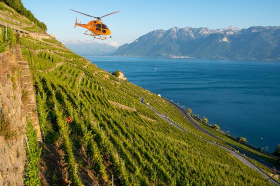 Héli-fondue sur le Lavaux - Vol de 25 min. en hélicoptère de Leysin et fondue pour 2 personnes 3 