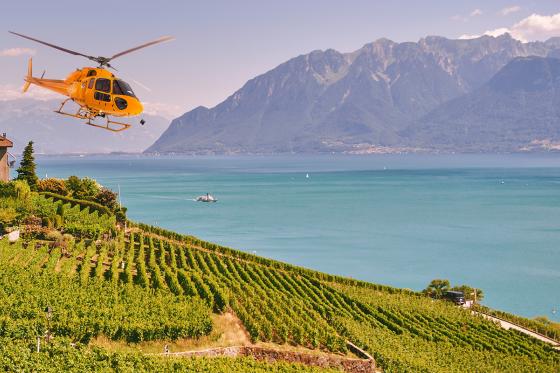 Héli-fondue sur le Lavaux - Vol de 25 min. en hélicoptère de Leysin et fondue pour 1 personne 1 