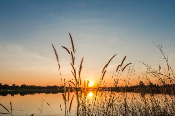 Grillboot - auf dem Zürichsee Mo - Mi für 10 Personen 10 