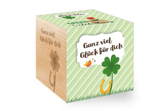 Ecocube - Glücksklee  