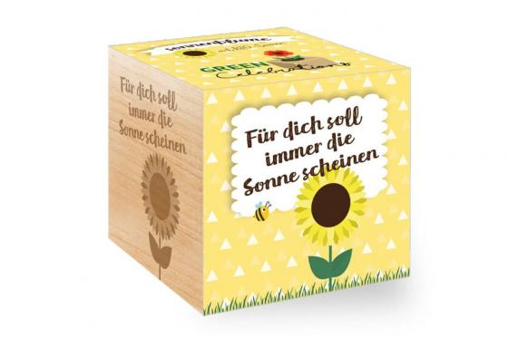 Ecocube - Sonnenblume  
