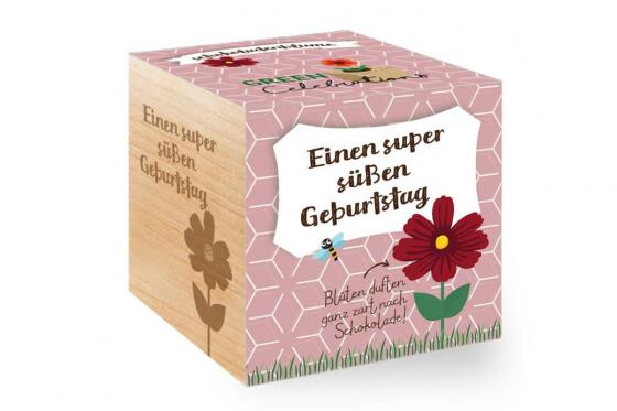 Ecocube - Schokoladenblume  