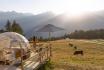 Nuit en Bubble-Suite  - entourée par les Alpes valaisannes, pour 2 personnes 8