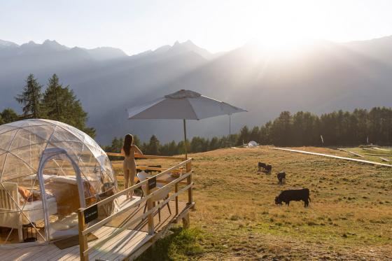 Bubble-Suite Übernachtung - umgeben von Walliser Alpen | wochentags 6 