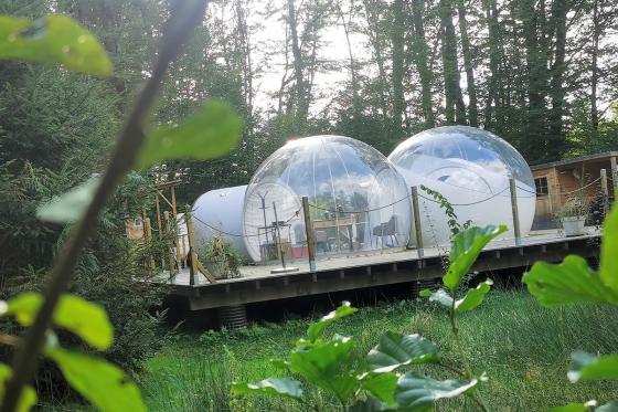 Bubble-Suite Übernachtung - mit Apéro und Frühstück für 2 Personen 3 