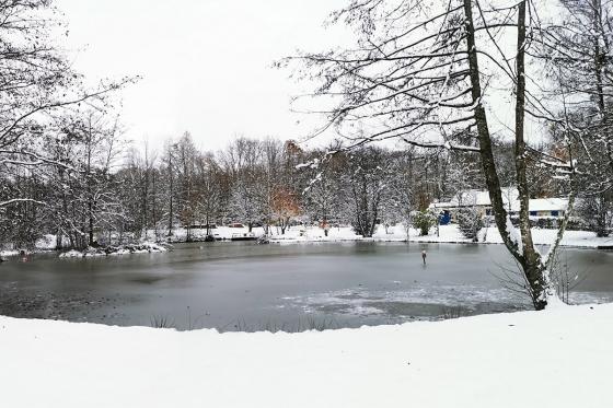 Bubble-Suite Übernachtung - mit Apéro und Frühstück für 2 Personen 7 