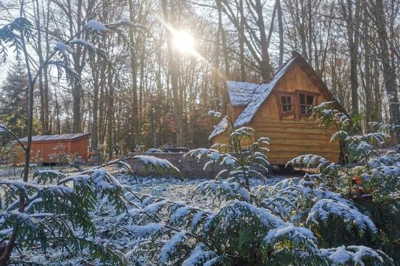 Séjour paisible en cabane duo - Avec petit déjeuner pour 2 personnes  