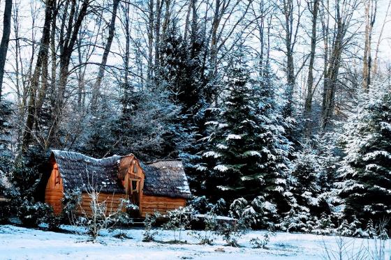 Séjour paisible en cabane duo - Avec petit déjeuner pour 2 personnes 5 