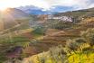 Roadtrip dans la Vallée du Douro - 5 jours d’évasion au Portugal pour 2 personnes 2