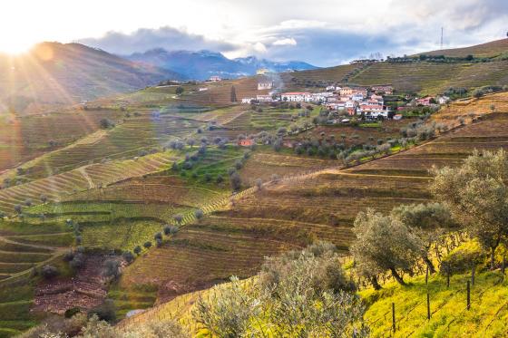 Roadtrip dans la Vallée du Douro - 5 jours d’évasion au Portugal pour 2 personnes 2 