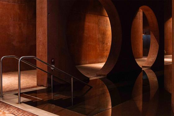 Bains romains à Martigny - Apéritif valaisan inclus pour 1 personne  