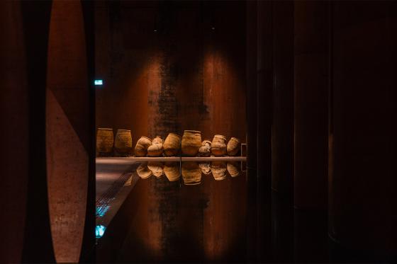 Bains romains à Martigny - Apéritif valaisan inclus pour 2 personnes 3 