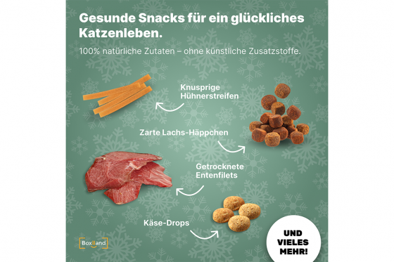 calendrier de l'Avent - Friandises pour chats 3 