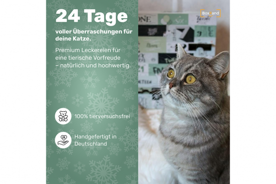 calendrier de l'Avent - Friandises pour chats 4 