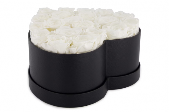 Flowerbox blanc - 20 roses éternelles 1 